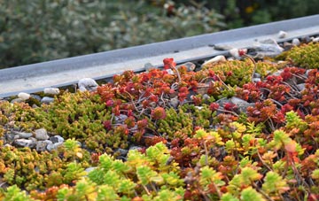 the cost of South Poorton green roof installation