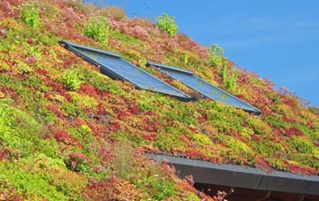 South Poorton living roof systems