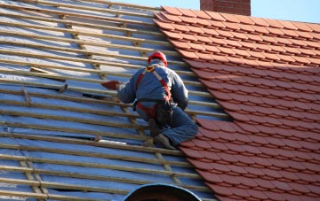 roof tiles South Poorton, Dorset