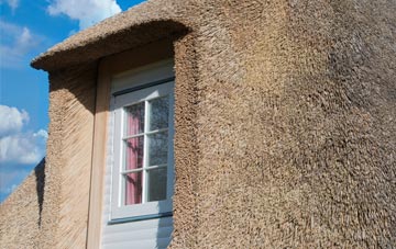 South Poorton thatch roof disadvantages